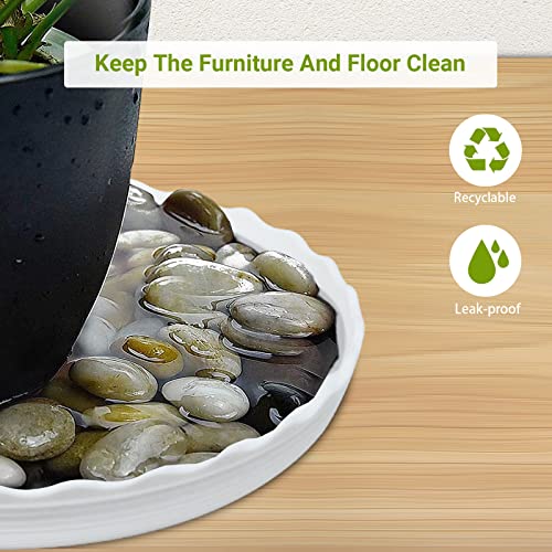 Plant Saucer, 7 Pack 5 Inch Durable Plastic Plant Tray, White Round Plant Pot Saucers, Drip Tray for Indoor and Outdoor Garden - view 6