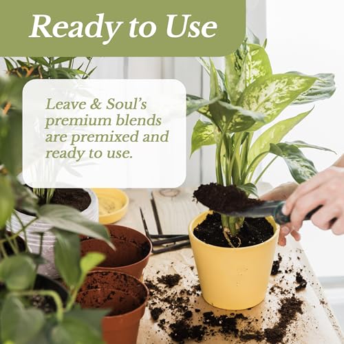 Professional Aloe Plant Soil Mix Large 2.2 Quarts Ready to Use, Premium Potting Soil for Aloe Vera Cactus Succulent Plants, Fast Draining Blend Pinebark Peat Course Sand Indoor Made in USA (Pack of 2) - view 6