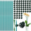 110 Pcs 15 Inch Plant Support Kit for Small Orchids, Stakes, Clips