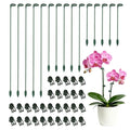 30 Sets Small Plant Stakes for Indoor Plants, 3 Size 6.7/10.6/14.6 Inches