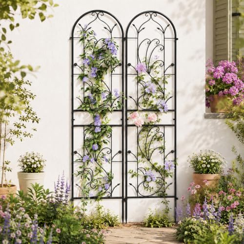 2-Pack 87" x 20" Sunflower Scroll Arch Black Metal Garden Trellises