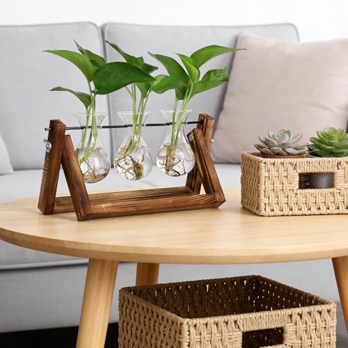 Propagation Stations,Plant Terrarium with Wooden Stand-3 Glass Vases - view 4