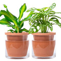 Self Watering Terracotta Planter Pot, 6 in, 2-Pack, 37-Y-B-1