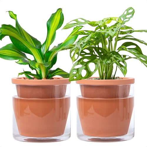 Self Watering Terracotta Planter Pot, 6 in, 2-Pack, 37-Y-B-1
