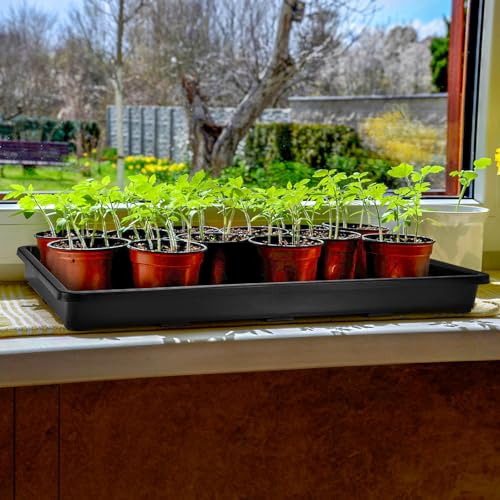 6 Pack Nursery Potting Trays with No Drain Holes - view 5