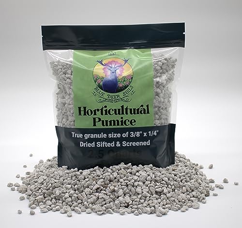 Horticultural Pumice - 2.5 Dry quarts - Cactus Succulent Bonsai Soil Amendment