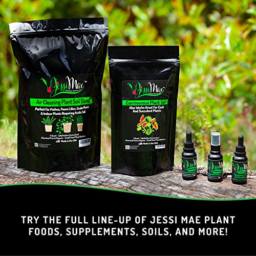 Potting Soil - 4-Quart Bag, Perlite - Well-Draining Snake Plant Soil - Slightly Acidic Potting Mix for Indoor Plants - view 6