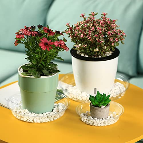 30 Packs 4 Inches Small Clear Plant Saucers for Indoor Outdoor Use Heavy Duty Plastic Plant Trays for Planter Bulk Flower Pot Drip Trays to Catch Water, 4 to 20 Inch - view 6