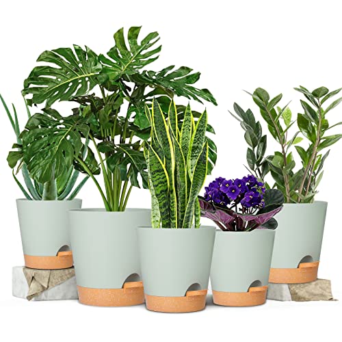 Plant Pots 7/6.5/6/5.5/5 Inch Self Watering Planters with Drainage Hole, Plastic Flower Pots, Nursery Planting Pot for All House Plants, African Violet, Flowers, and Cactus,Green - view 2