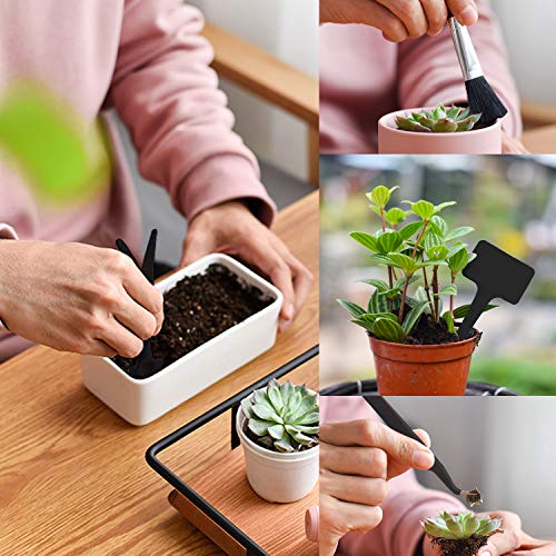 20 Pieces Succulent Plants Tools Mini Garden Transplanting Set for Fairy Garden Planting, Miniature Plant Care of Cactus, Houseplant, Bonsai Plants Tools Kit - view 4