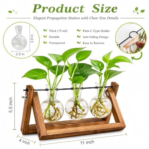 Plant Propagation Station, Plant Terrarium with Wooden Stand - view 2