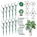 Monstera Plant Support Stakes, 30 Pcs Stackable Plant Support Stakes Sticks Poles for Indoor & Outdoor Plants, Climbing and Potted Plants, Stem Supports, Pothos