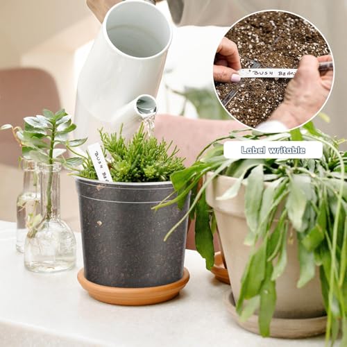 40 Pack 5/4/3/2.75 Inch Clear Nursery Pots with 40 Plant Labels, Clear Plant Pots with Drainage Hole Plastic Transparent Variety Pack Garden Flower Seedling Pot Small Planter Containers - view 6