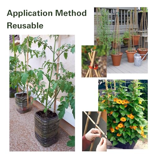 30pcs Bamboo Stakes 4FT, 1/2" D Thicker Garden Stakes Multi-Purpose, Plant Stakes for Tomatoes, Beans, Cucumbers, Peppers, Flowers, Potted, Maintain the Plant Posture, Strengthen and Stem - view 6