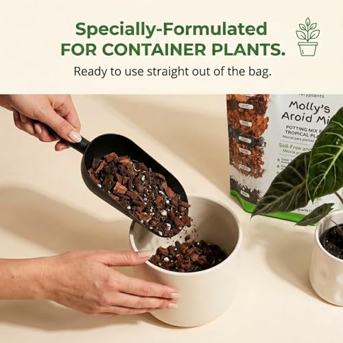 Molly's Aroid Potting Mix, Chunky Soil-Free for Indoor Plants, 3 Dry Quarts - view 6
