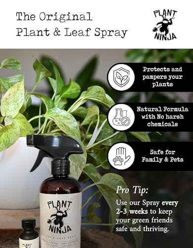 Premium Starter Bundle, Includes a 8” Pot, 16oz Spray Bottle, 1oz Concentrate, Soil Blend, & Funnel, Plant and Leaf Shine Spray for Indoor Plants, House Plants, w/Potting Soil - Large - view 4