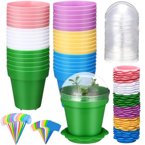 36 Packs Cupcake Plant Nursery Pots with Humidity Dome Small Flower Pots Plastic Planting Containers Cups with Saucers and Shovel for Indoor Outdoor Plant Succulent Display(Colorful)