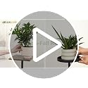 Corner Plant Stand Indoor Shelf Tall with Lights, 3 Tiers Black - view 7