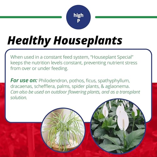 15-30-15 Houseplant Special Water-Soluble Fertilizer, 8oz - view 4