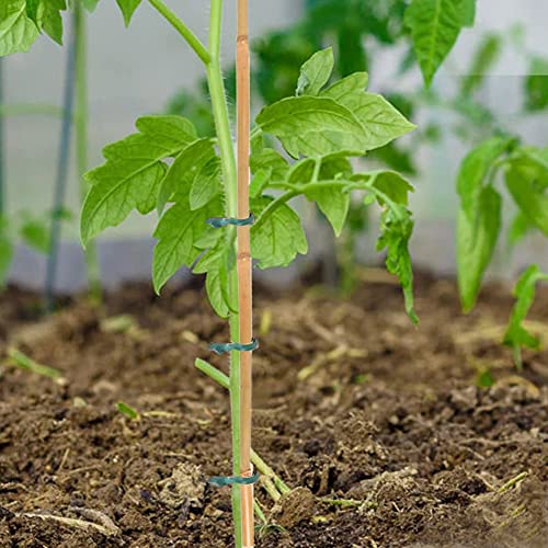20 Pcs 18 Inch Natural Bamboo Plant Support Stakes for Indoor Plants, Bamboo Sticks Poles Garden Bamboo Stakes for Potted Plants, Tomato, Beans - view 4
