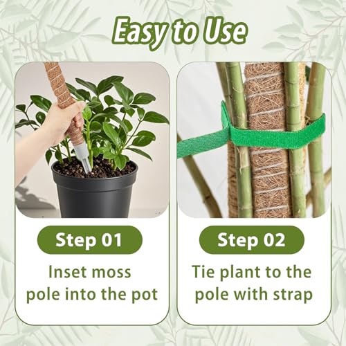 2 Pack Moss Pole, 28 Inch Monstera Plant Support, Moss Poles for Climbing Indoor Plants, Bendable Coco Coir Plant Support Stakes for Potted Plants, Pothos, Philodendron - view 5