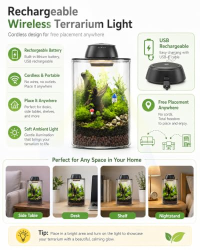 Plant Terrarium Kit with Rechargeable Grow Light 8", Gift for Mom (L) - view 3