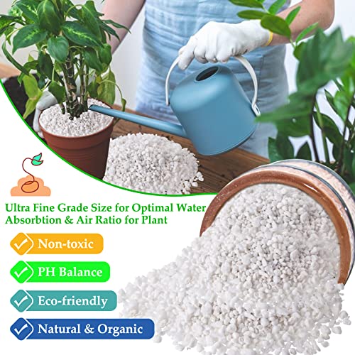 4 Quarts Organic Perlite for Plants Indoor, Soil Mix Amendment - view 3