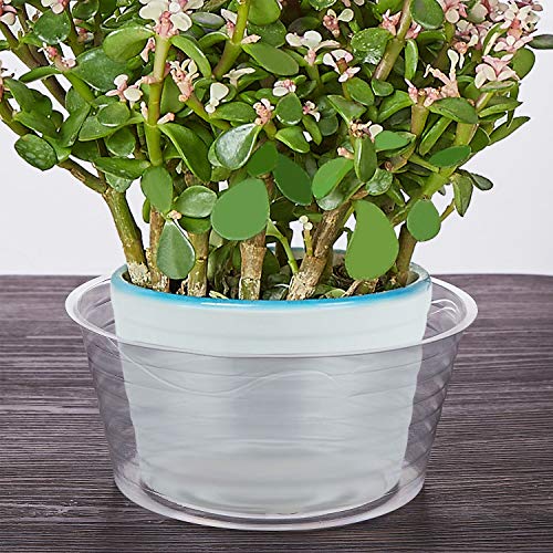 10 Pieces of 12 Inch Clear Thin Deep Plastic Plant Saucer Drip Tray for Pots (12'') - view 3