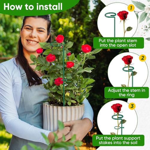 17 inch Plant Support Stakes, 4mm Thick Garden Single Stem Flower Support Stake Amaryllis Plant Cage Support Rings with 10 pcs Plant Clips for Tomato Orchid Lily Peony Rose Flower Stem-5 Pack - view 6