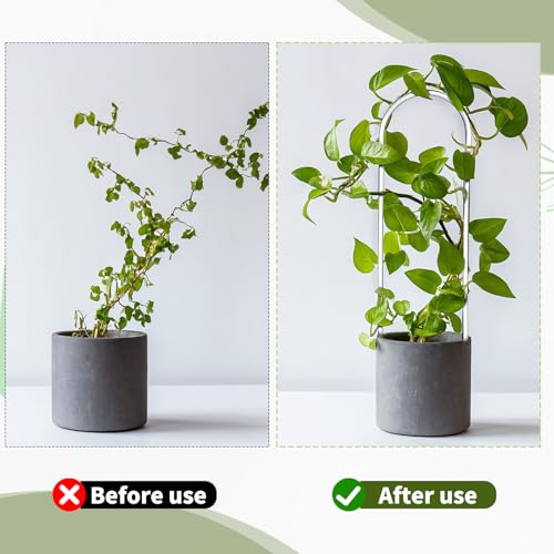 2 Pack Thickened U-Shaped Acrylic Trellis for Indoor Plants, Small Clear Plant Trellis for Potted Plants Climbing Plants Garden Accessory for Pothos Hoya Trellis Indoor Outdoor - view 3