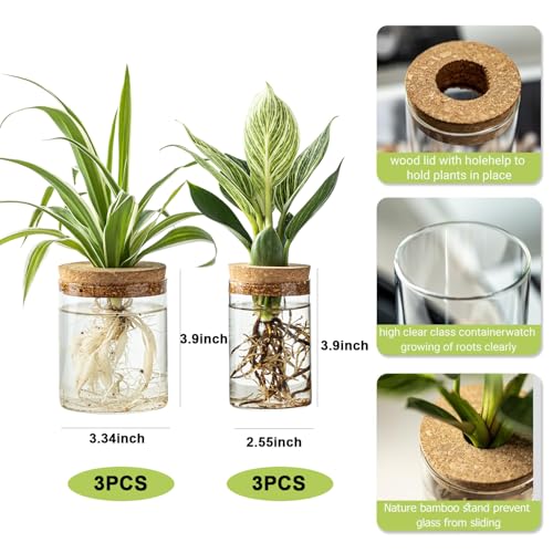 Plant Propagation Station,Hydroponic Glass Container Vase 2 Sizes Planter Propagated Jars for Desks, Houses, Garden Decorations,Home Kitchen Decorations and Gifts cu.20.5 (6pcs) - view 2