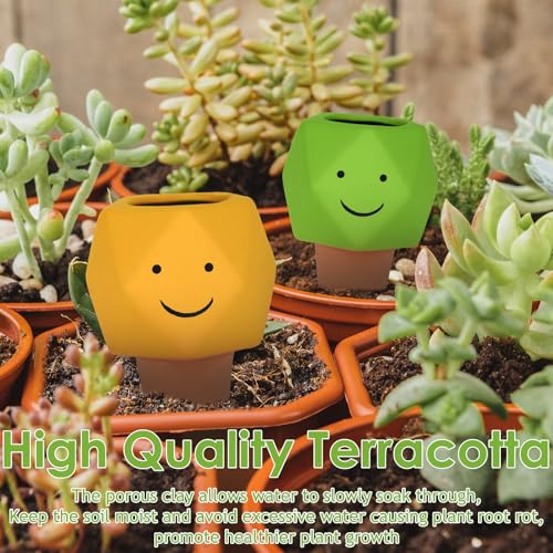 4 Pack Terracotta Self Watering Spikes, Automatic Plant Waterer Devices - view 3