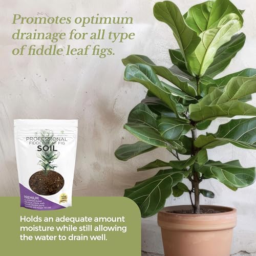 Professional Fiddle Leaf Fig Soil Mix Ready to Use Extra Large 8.2 Quarts, Premium Potting Soil for Fiddle Leaf Fig Indoor Houseplants, Peat Sawdust Coarse Sand Pinebark Made in USA (Pack of 2) - view 5