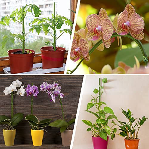 10Pcs Plant Stakes, 15IN Orchid Support Stakes for Indoor Plants - view 5
