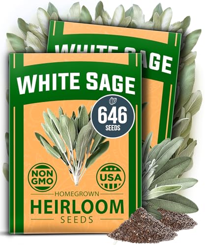 4-Pack Herb Seeds Bundle – 15 Culinary Herbs (4,500+), White Sage (646), Rosemary (300), Thai Basil (876) – Non-GMO, USA Heirloom Indoor Outdoor Garden Kit for Growing Fresh Herbs - view 3
