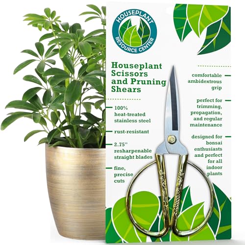 Fiddle Leaf Fig Notching Bundle - view 2
