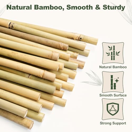 Natural Bamboo Poles, 4 Feet Bamboo Sticks for Plants, Wood Garden Stakes for Tomato, Bean, Flowers, Trees Potted and Climbing Plants, 25 Pack - view 4