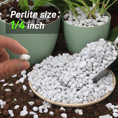 3 Quarts Chunky Perlite for Plant Soil Amendment for Potting Soil, Improves Drainage and Aeration for Soil, Ideal for Succulents, Orchid, Flower Plants (1/4 inch) - view 2