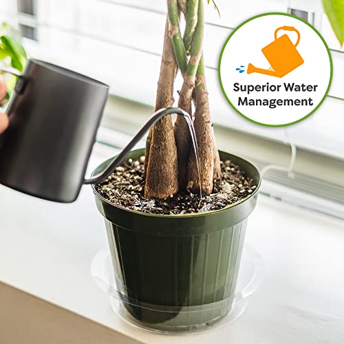 Money Tree Potting Soil, 2 qt, Indoor Coco Coir Mix - view 3