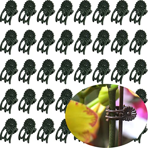40-PCs Orchid Clips for Plants Support - Dark Green, for Small - Middle Climbing Plants Vine Plants & Single Stem Plants