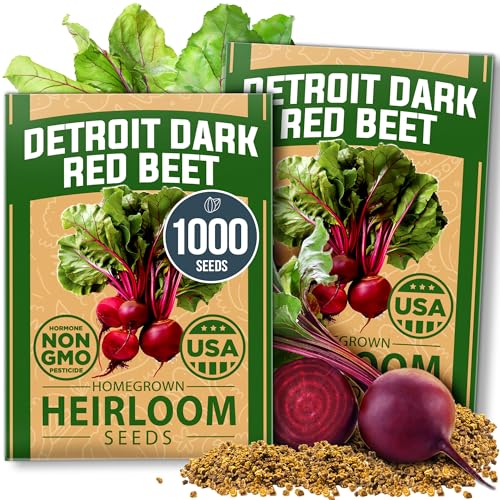 Carrot & Beet Seeds Bundle – 6000 Tendersweet Carrot + 1000 Detroit Dark Red Beet Seeds – 2 Pack Each – Non-GMO, Heirloom Vegetable Seeds for Outdoor Planting, High Germination - view 4