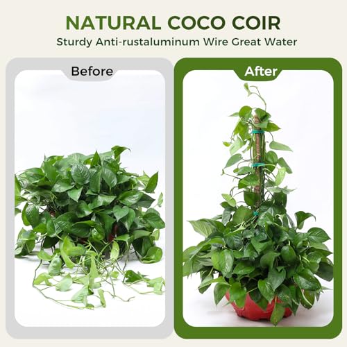 4 Pack Moss Pole Monstera Plant Support, 2 Pack 28" & 2 Pack 48" Bendable Plant Stakes Made of Real Coco Coir Support for Climbing Indoor Plants, Tall Moss Stick Trellis for Pothos & Philodendron - view 6