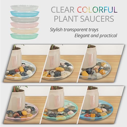 12Pcs Clear Plant Saucer, 6 8 10 Inch Durable Plastic Plant Tray, Round Plant Pot Saucers, Drip Tray for Indoor and Outdoor Garden, Amber Brown - view 6