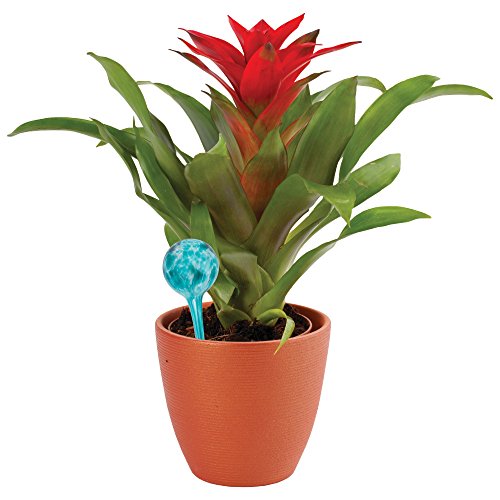 3-Piece Mini Watering Globe Set, Colorful Hand-Blown Glass Plant Watering System - view 4