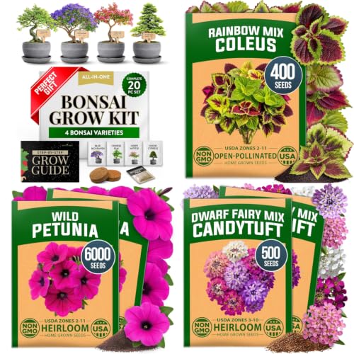 Premium 4 Varieties Bonsai Tree Starter & Rainbow Mix Coleus 400 & Wild Petunia 6,000 & Candytuft Dwarf Fairy 500 Seeds Kit