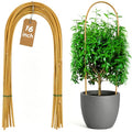 20 Pack Bamboo U Trellis Support, 16 Inch U Loop Plant Stake Arch Garden Trellis for Potted Plants, Climbing Flowers and Vines, Ivy, Outdoor Planting