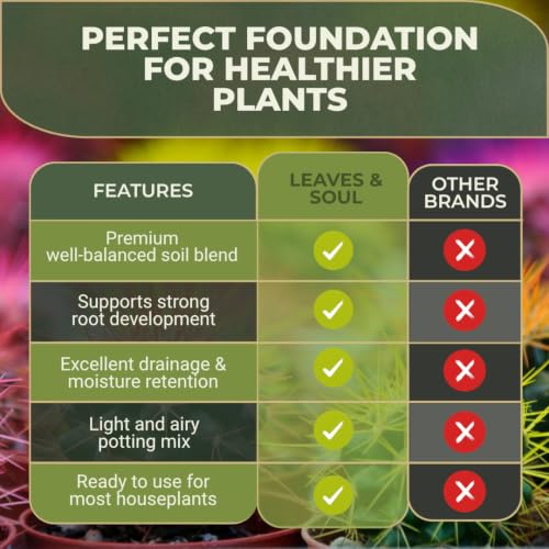 Professional Cactus Soil Mix Large 2.2 Quarts Ready to Use, Premium Fast Draining Potting Soil for Cactus and Succulents, Peat Moss Coco Coir Perlite Dolomite Blend Indoor Plant Soil Made in USA - view 3