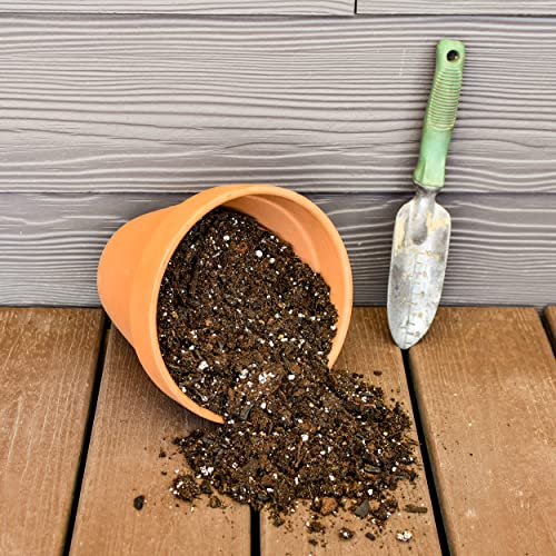 Potting Soil for Ferns (8 Quarts), Hand Blended Soil Mixture for Planting and Re-Potting Indoor and Outdoor Ferns - view 4