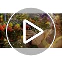 12423 One Touch Shower and Stream, Yellow - view 6