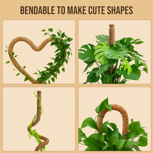 29" Moss Pole Monstera Plant Support, Indoor Plant Stakes - view 6